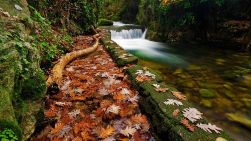 El Otoño Mágico del Valle del Ambroz de Cáceres Fiesta de Interés Turístico Internacional