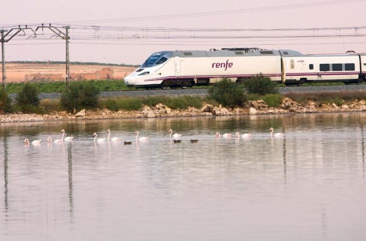 Se restablece el tren entre València y Alicante a partir del 16 de diciembre